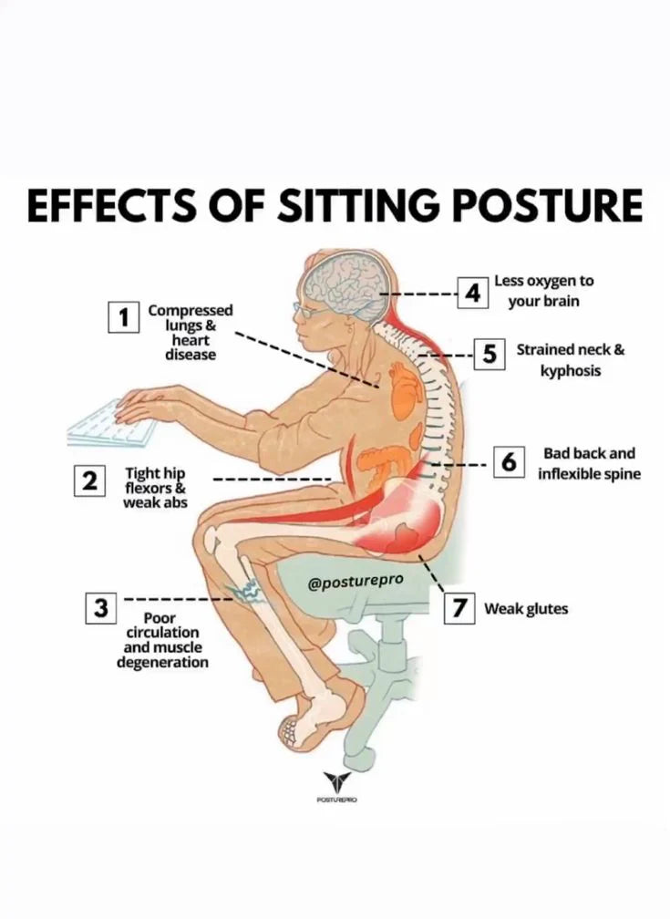 𝗣𝗼𝘀𝘁𝘂𝗿𝗲 𝗖𝗼𝗿𝗿𝗲𝗰𝘁𝗼𝗿 𝗕𝗲𝗹𝘁