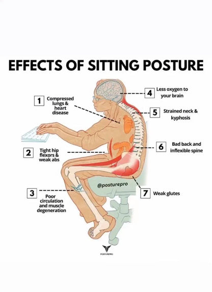 𝗣𝗼𝘀𝘁𝘂𝗿𝗲 𝗖𝗼𝗿𝗿𝗲𝗰𝘁𝗼𝗿 𝗕𝗲𝗹𝘁